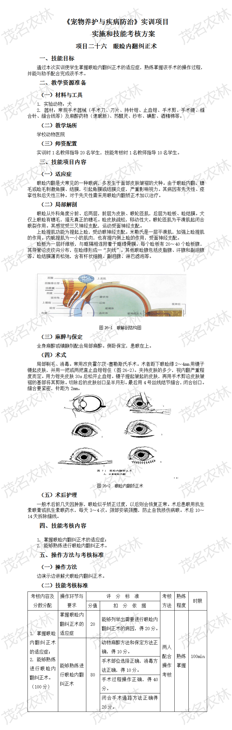 实训26 眼睑内翻纠正术.png