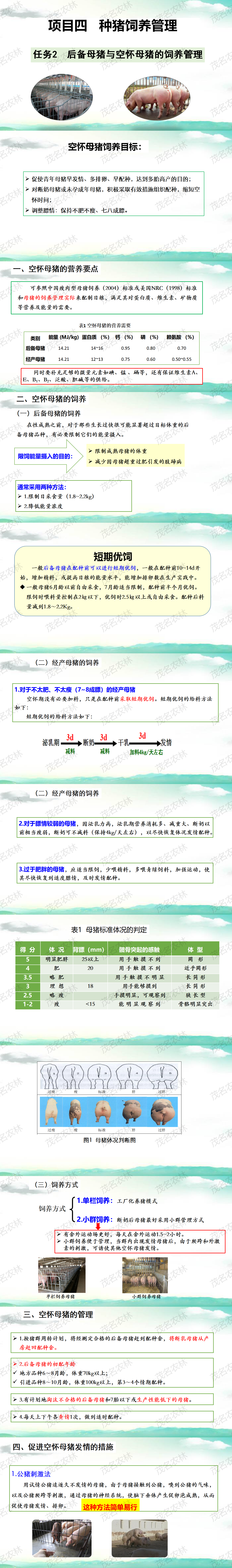 任务2 后备母猪与空怀母猪饲养管理.png