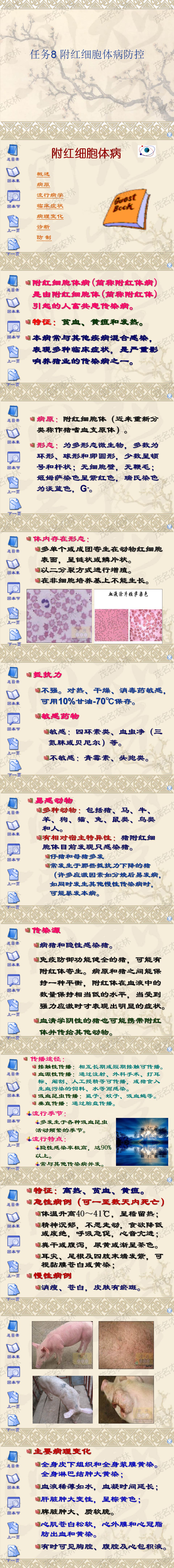 任务8 附红细胞体病防控.png