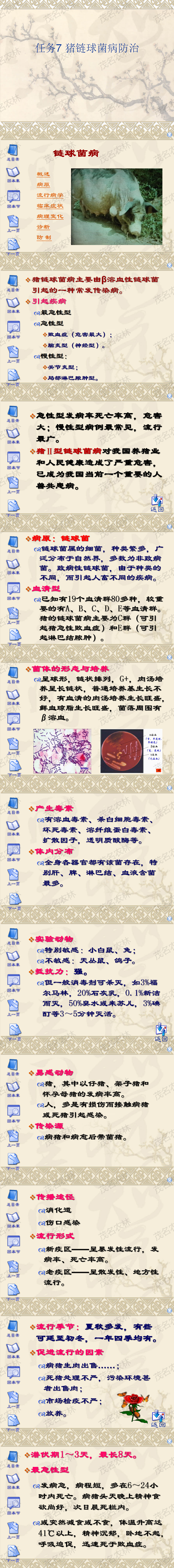 任务7 猪链球菌病防治.png