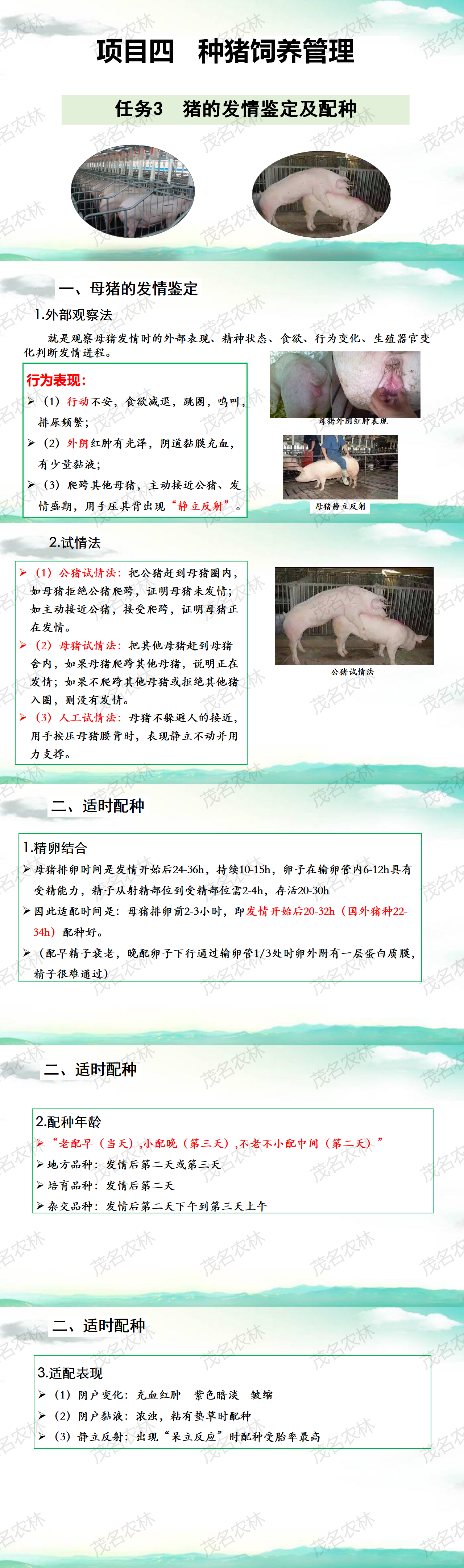 任务3-1 猪的发情鉴定及适时配种.png